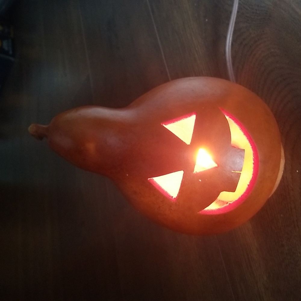 Pumpkin carved gourd, light up, made by Meadowbrooke in USA